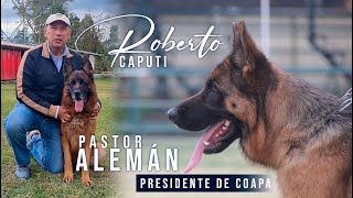 PASTOR ALEMÁN I ROBERTO CAPUTI I EN ENTREVISTA CON PERROS PREMIER