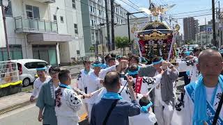 20230603 茅ヶ崎　本村八坂神社　神輿修復記念渡御　祭り⑧