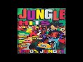 Various - Jungle Hits Vol. 2 (1994)
