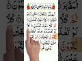 Surah Takathur سوره التكاثر Quran Recitation #surahtakasur #alquran #viralshorts #youtubeshorts