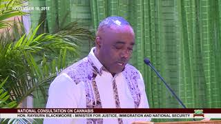 Hon. Rayburn Blackmoore addresses National Consultation on Cannabis