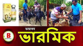 ছাগলের ভারমিক কি । ছাগলের ভারমিক হলে কি করবেন । chagol palon l chagol khamar । goat farming