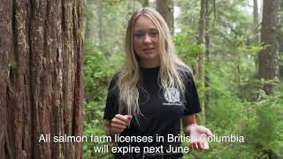 Clayoquot Salmon Investigation (CSI) Fundraising Video 2021