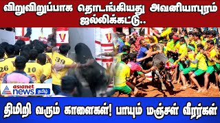 விறுவிறுப்பாக தொடங்கியது அவனியாபுரம் ஜல்லிக்கட்டு.. திமிறி வரும் காளைகள்! பாயும் மஞ்சள் வீரர்கள்!