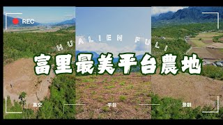 富里稀有山坡景觀大平台農地：花蓮房地產葉香琳為您推薦