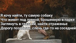 Канги - Собака (Я хочу найти самую собаку) (Lyrics, Текст) (Премьера трека)