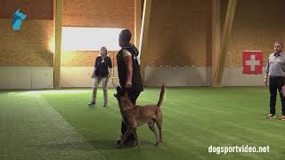 Qualification - Susan Jenny + Ringo vom Kistenstein/Malinois - Switzerland