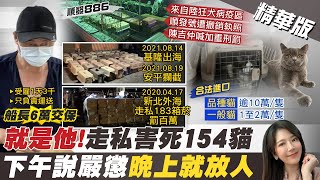 【鄭亦真報新聞】走私害死154隻貓引撻伐!船長晚間6萬元交保｜越南母女走私\