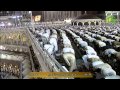 25th Ramadan 2014-1435 Makkah Isha by Sheikh Taalib
