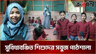 সুবিধাবঞ্চিত শিশুদের মাঝে শিক্ষার আলো ছড়াচ্ছে সবুজ পাঠশালা | Janobani Special  #janobaninews