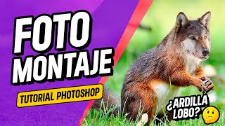 Cómo crear una fotomanipulación de un lobo-ardilla con Photoshop | Tutorial paso a paso