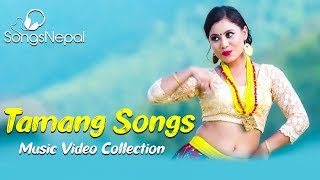 Non Stop Hit Tamang Songs  Best Tamang Selo Music Videos Collection  Nepali Songs
