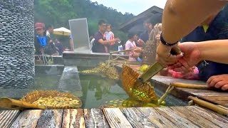 親子遊宜蘭行大同鄉清水地熱煮食池 Chingshui Geothermal Energy, Yilan   (Taiwan)