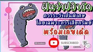 EP.28 #dream ทำนายฝัน ฝันว่าปลิงกัด (พร้อมเลขเด็ด) Dream that a leech bites| Saimu689 Channel