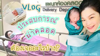 แม่มาแชร์ EP.6 | VLOG แชร์ประสบการณ์ผ่าคลอด ในยุคโควิด ที่รพ.สินแพทย์ | Little Freya and the Family