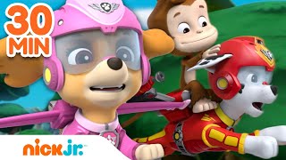 PAW Patrol Skye Flies High! w/ Marshall & Chase | 30 Minute Compilation | Nick Jr.