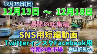 【SNS用短編動画】【一週間の総集編】今朝の魚市場！毎日の水揚げ状況