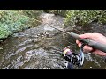 Wild River Trout on Spinning Tackle