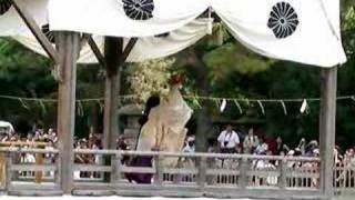 Otaue-Shinji ／ Sumiyoshi-Taisha Shrine (6/9)　　住吉大社･御田植神事／神田代舞