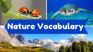 Learn Nature Vocabulary in English - Educational Video about Nature - Nature Words and Sentences