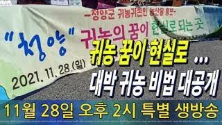 솔바위농원님의 실시간 스트림