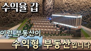 영덕 파나크 opreated by 소노 수익형 부동산 수익율