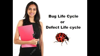 Bug Life Cycle |🐞| Defect Life Cycle | Software Testing | Automotive Testing | Embedded World