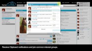 Horsecount - Community