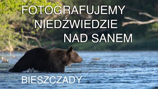 Fotografujemy niedźwiedzie w Sanie. Bieszczady. Z życia fotografów przyrody