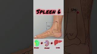 Spleen 6 Acupuncture point           #alternativemedicine #acupuncture #kidney #liver #spleen