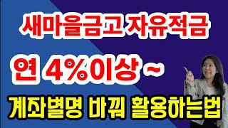 새마을금고 자유적금 이렇게 활용해 보세요! 고금리에 목돈 잘 모으는 꿀팁 !