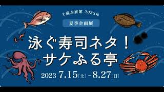 サケのふるさと千歳水族館 夏季企画展「泳ぐ寿司ネタ！」