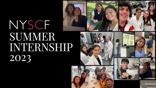 Meet the 2023 NYSCF Summer Interns