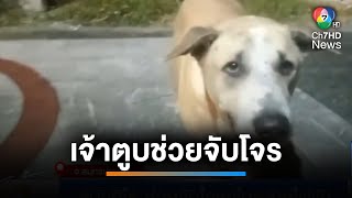 สุนัขฮีโร ! ช่วยจับโจรแอบตัดสายไฟฟ้าข้างทาง | เช้านี้ที่หมอชิต