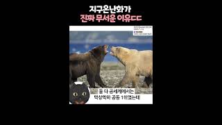 지구온난화가 진짜 위험한 이유 ㄷㄷ 😨