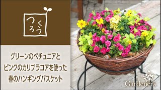 ♪ 春の寄せ植え3分レシピ ♪グリーンのペチュニアとピンクのカリブラコアを使ったハンギングバスケット