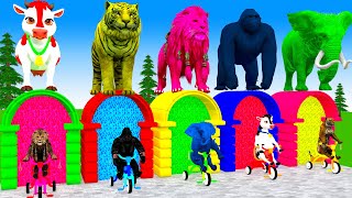 Paint \u0026 Animals Cow,Tiger, Gozilla, Lion, Elephent Fountain Crossing Transformation Cartoon #2025