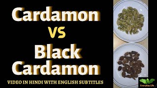 Cardamom Vs Black Cardamom | Elaichii Vs Badi Elaichi | इलायची Vs बड़ी इलायची | Everyday Life #219