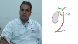 What is ERCP | Dr. Shankar Lal Jat | Top Gastroenterologist In Jaipur - Manipal Hospitals Jaipur