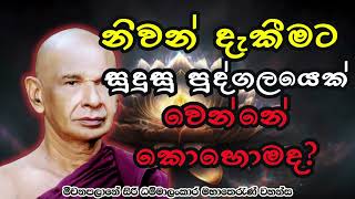 නිවන් දැකීමට සුදුසු පුද්ගලයෙක් වෙන්නේ කොහොමද?