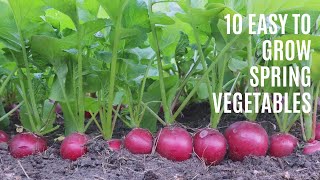 10 Easy to Grow Spring Vegetables: Episode 7