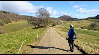 Thalheim - Burgruine Schenkenberg - Schinznach - Brugg (AG) / 05.02.22