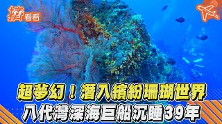 超夢幻！潛入繽紛珊瑚世界　八代灣深海巨船沉睡39年