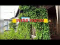 散歩と珈琲　 41 【living station】 北海道　富良野