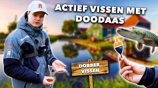 Zo VANG je SNOEKEN met DOODAAS in een WOONWIJK!