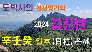 2024 갑진년 - 辛壬癸 일주(日柱) 세운통변