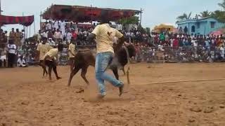 V.malampatty Kovil KALYI inru eramanathaporam dct kanjurangudi vadamanjuverato(1)