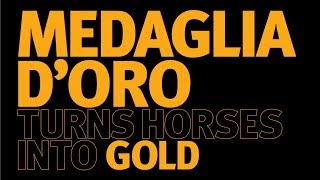 Medaglia d'Oro - he turns horses into gold!