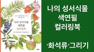 나의 성서식물 색연필 컬러링북, 블루베리와 닮은 화석류 그리기