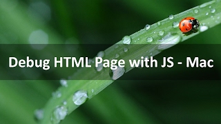 Debug HTML Page with JavaScript - Mac